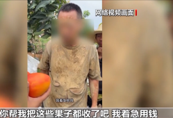 假剧本真牟利！央视曝光卖惨主播骗人流水线多万
